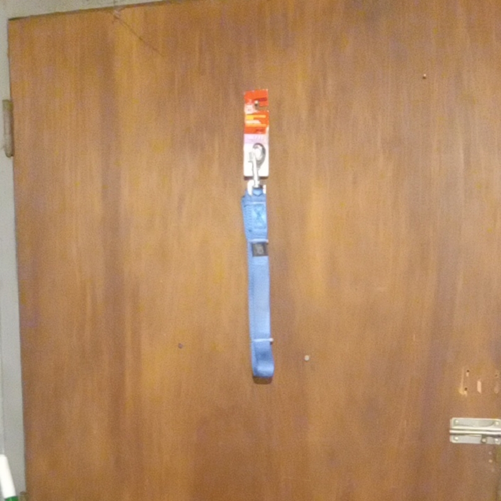 Blue Heavy-Duty Leash